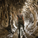 Illustration for article titled Explore More Than 3,000 Miles of Tunnels Beneath Montreal